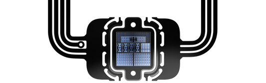 How to Choose the Best Secure Crypto Wallet for Your Needs